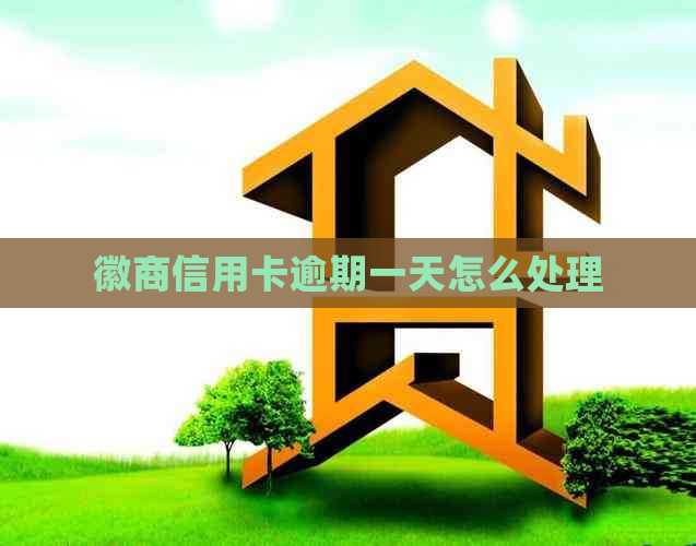 徽商信用卡逾期一天怎么处理