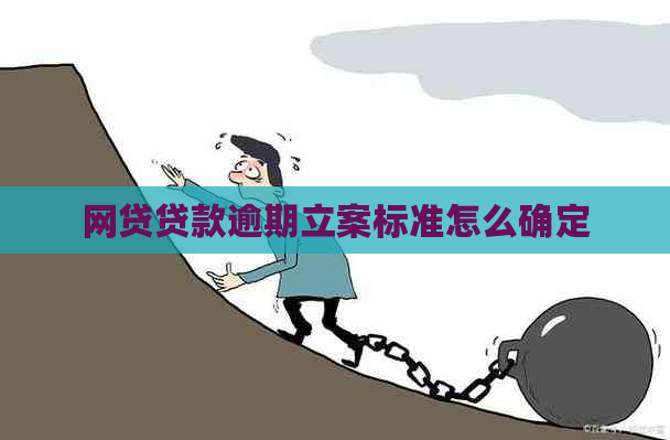 网贷贷款逾期立案标准怎么确定