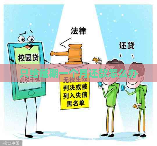 只给延期一个月还款怎么办