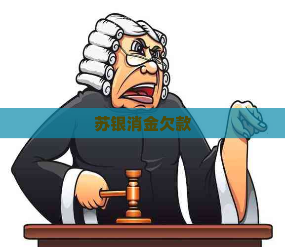 苏银消金欠款