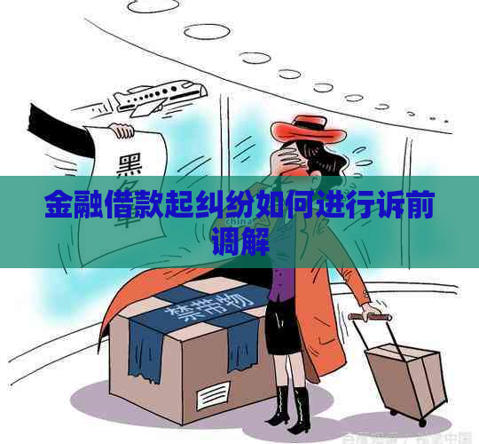 金融借款起纠纷如何进行诉前调解
