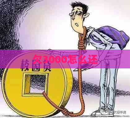 欠3000怎么还