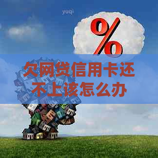 欠网贷信用卡还不上该怎么办