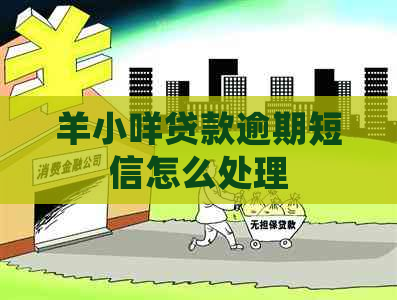 羊小咩贷款逾期短信怎么处理