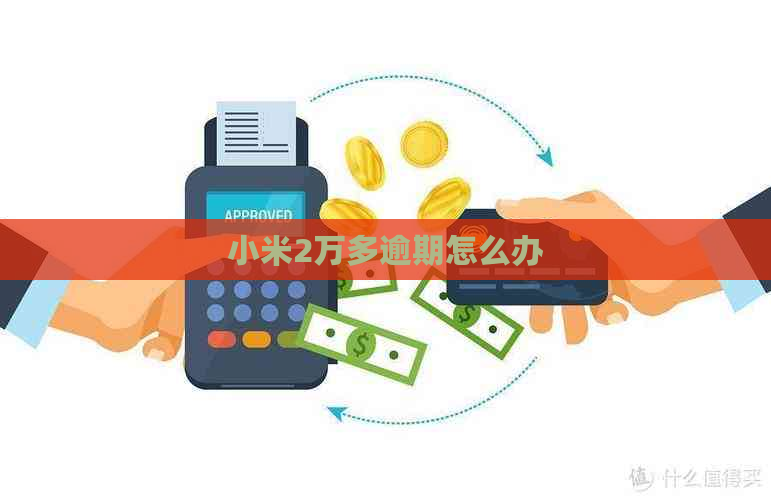 小米2万多逾期怎么办