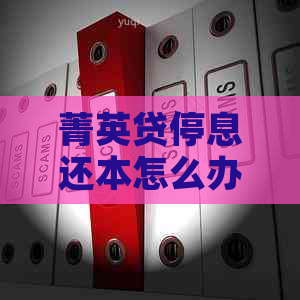 菁英贷停息还本怎么办