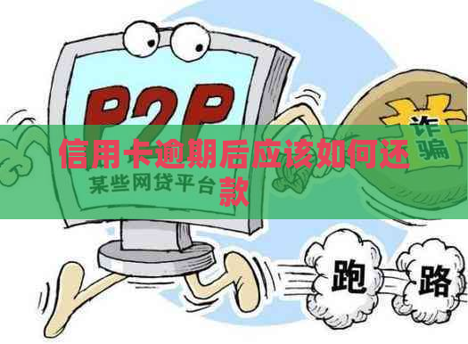 信用卡逾期后应该如何还款