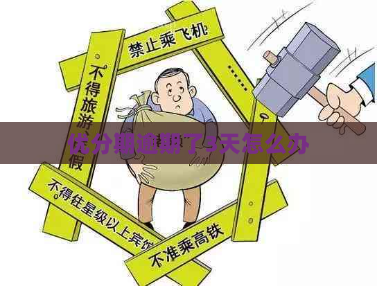 优分期逾期了3天怎么办