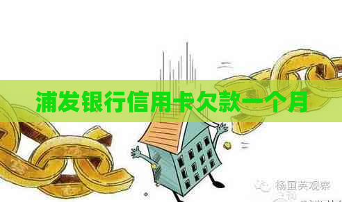 浦发银行信用卡欠款一个月