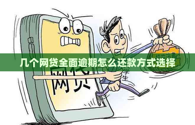 几个网贷全面逾期怎么还款方式选择