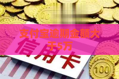 支付宝逾期金额大于5万