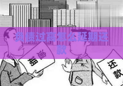 负债过高怎么延期还款