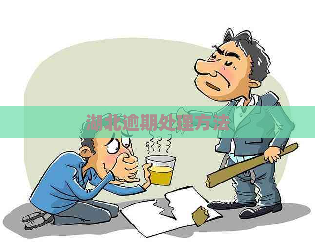 湖北逾期处理方法