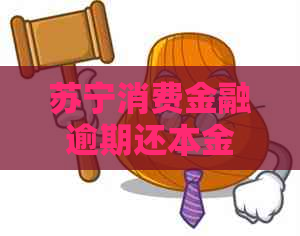 苏宁消费金融逾期还本金可以吗
