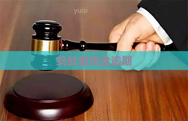 蚂蚁备用金逾期
