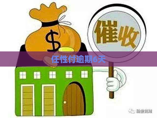 任性付逾期6天