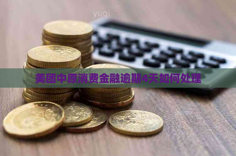 美团中原消费金融逾期4天如何处理