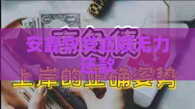 安鑫快贷逾期无力还款