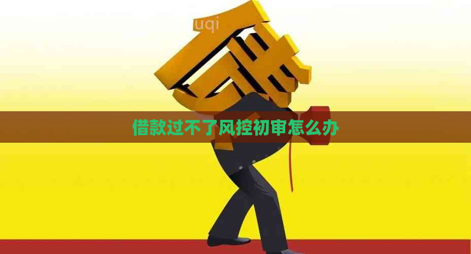 借款过不了风控初审怎么办