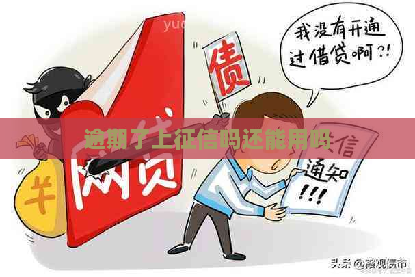 逾期了上吗还能用吗