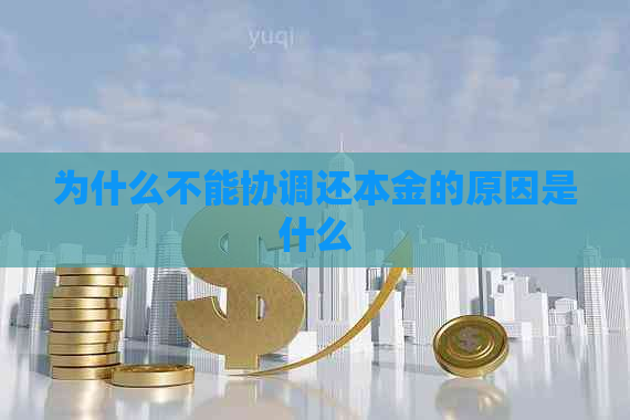 为什么不能协调还本金的原因是什么