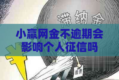 小赢网金不逾期会影响个人吗