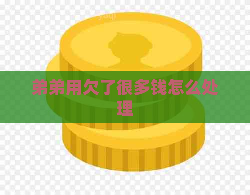 弟弟用欠了很多钱怎么处理