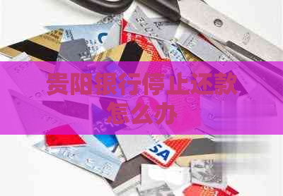 贵阳银行停止还款怎么办