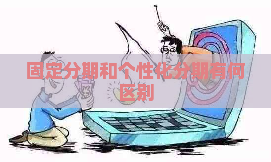 固定分期和个性化分期有何区别