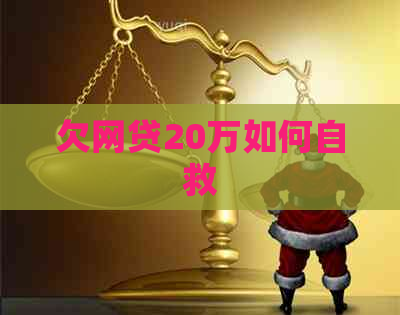 欠网贷20万如何自救