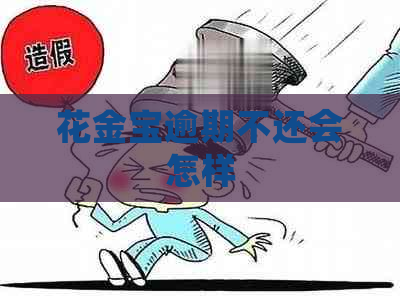 花金宝逾期不还会怎样
