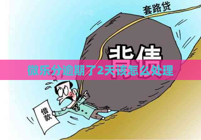 微乐分逾期了2天该怎么处理