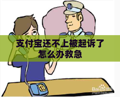 支付宝还不上被起诉了怎么办救急