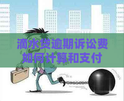 滴水贷逾期诉讼费如何计算和支付