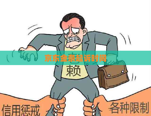 京东金条起诉时间