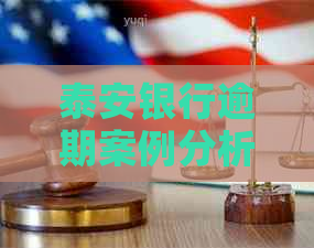泰安银行逾期案例分析与应对策略