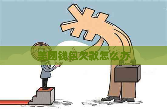 美团钱包欠款怎么办