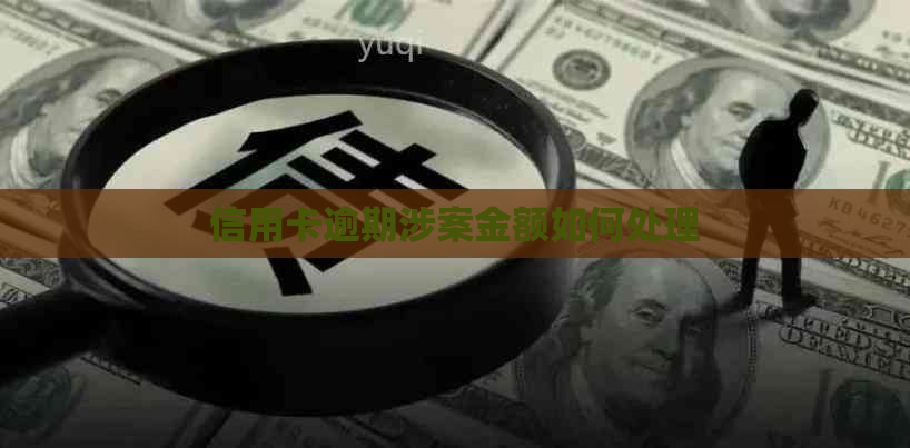 信用卡逾期涉案金额如何处理