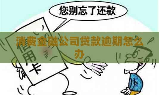 消费金融公司贷款逾期怎么办