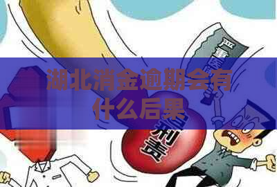湖北消金逾期会有什么后果