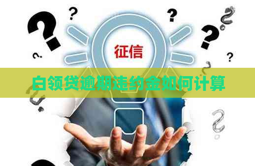 白领贷逾期违约金如何计算