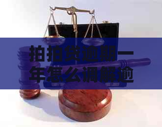 逾期一年怎么调解逾期还款问题