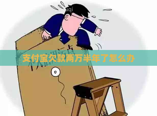 支付宝欠款两万半年了怎么办
