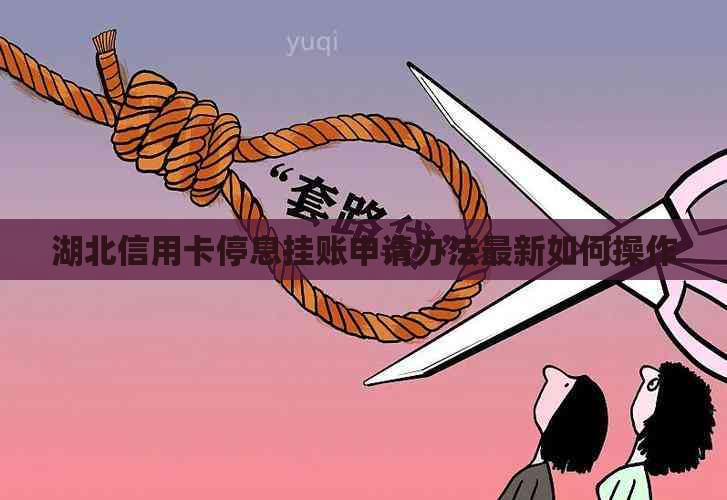 湖北信用卡停息挂账申请办法最新如何操作