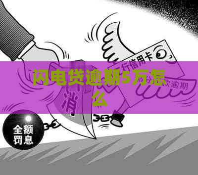 闪电贷逾期5万怎么