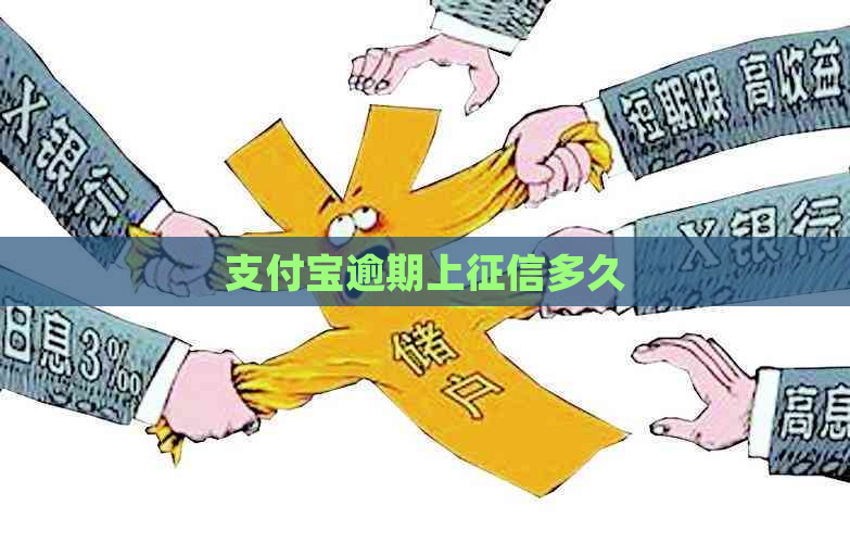 支付宝逾期上多久
