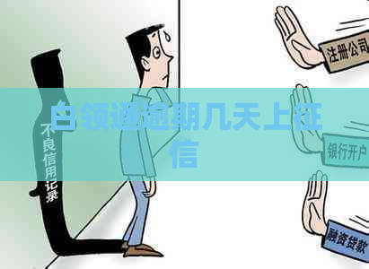 白领通逾期几天上