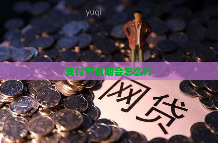 支付室逾期会怎么样
