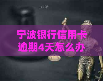 宁波银行信用卡逾期4天怎么办