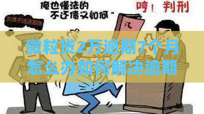 微粒贷2万逾期7个月怎么办如何解决逾期问题